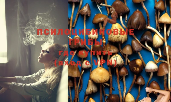 COCAINE Гусь-Хрустальный