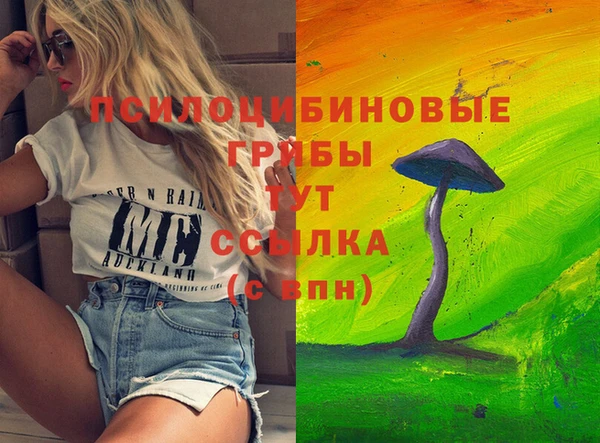 COCAINE Гусь-Хрустальный