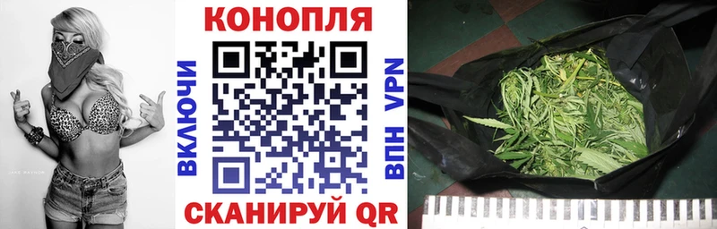 МАРИХУАНА гибрид  Ковров 